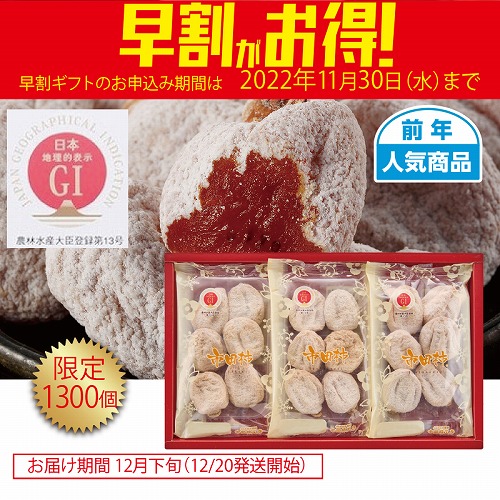 【期間限定・早割】