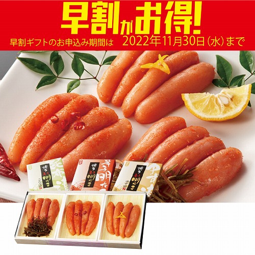 【期間限定・早割】