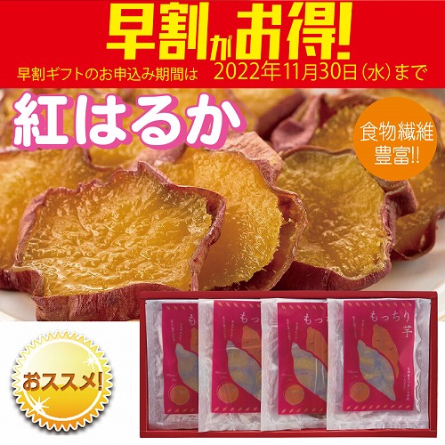 【期間限定・早割】