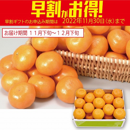 【期間限定・早割】