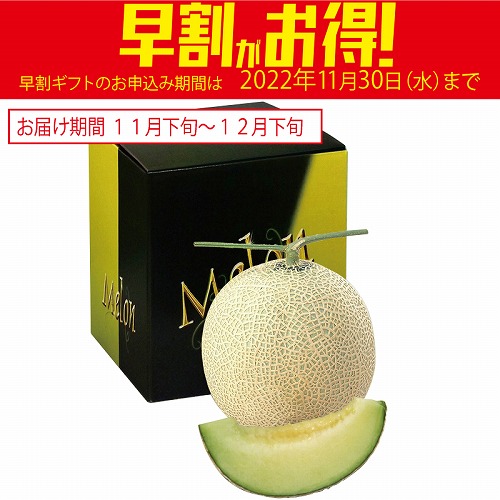 【期間限定・早割】