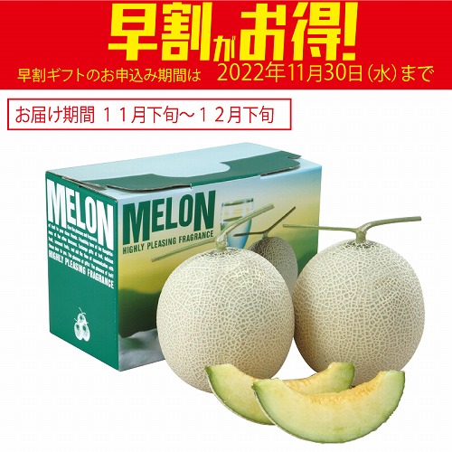 【期間限定・早割】