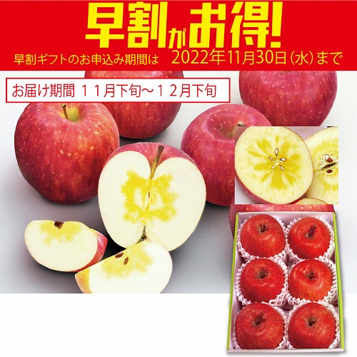 【期間限定・早割】