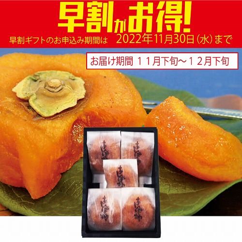 【期間限定・早割】