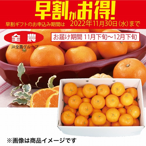 【期間限定・早割】