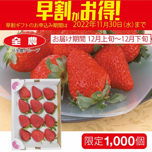 【期間限定・早割】