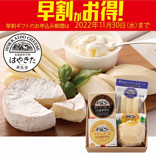 【期間限定・早割】