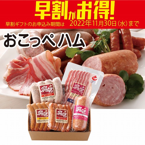 【期間限定・早割】