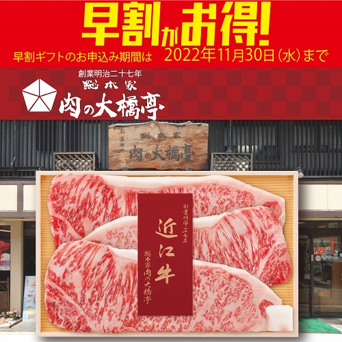 【期間限定・早割】