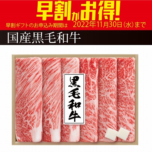 【期間限定・早割】