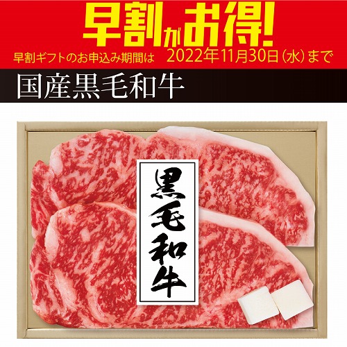 【期間限定・早割】