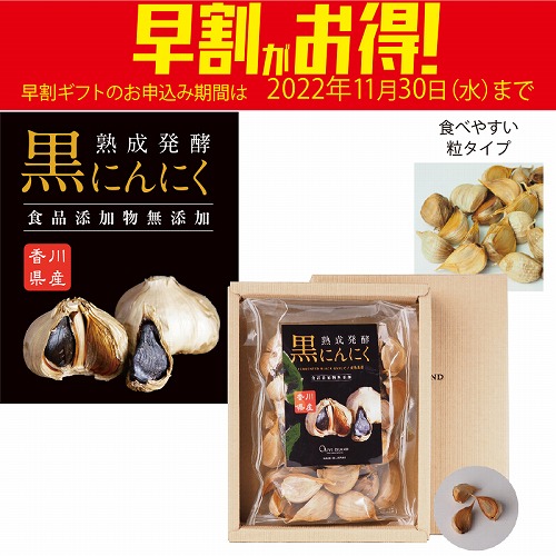 【期間限定・早割】