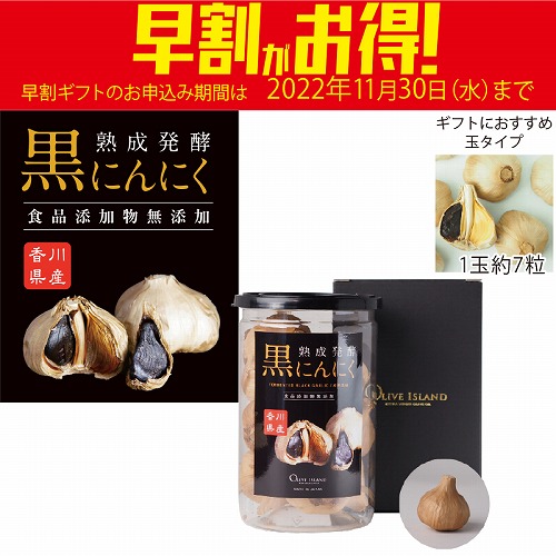 【期間限定・早割】