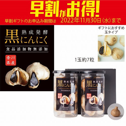 【期間限定・早割】