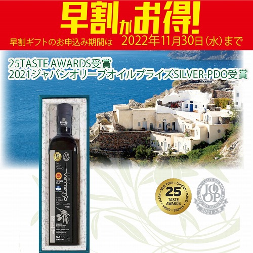 【期間限定・早割】