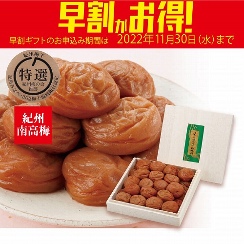 【期間限定・早割】