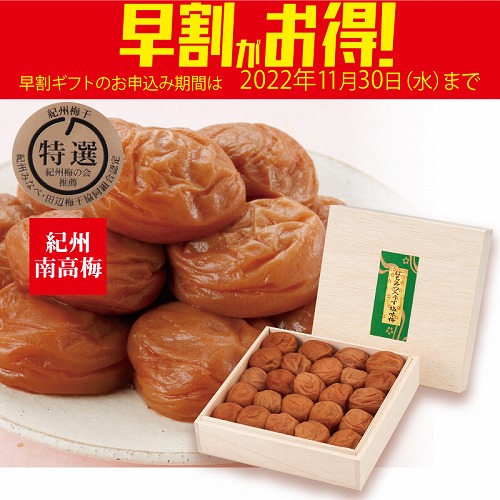 【期間限定・早割】