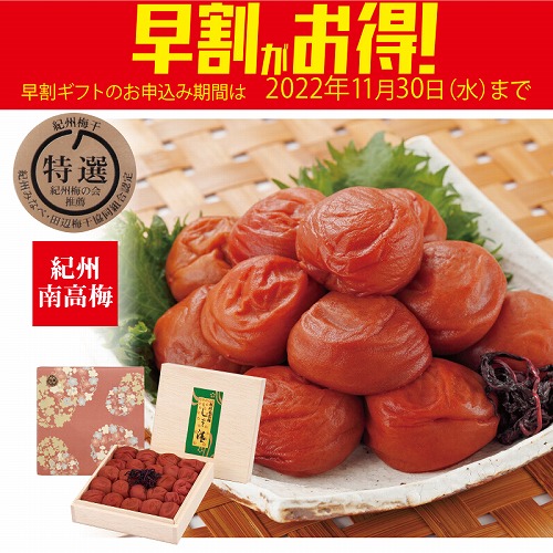 【期間限定・早割】