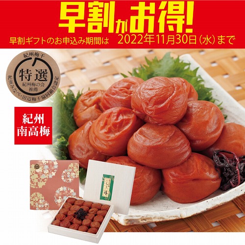 【期間限定・早割】