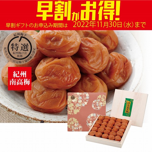 【期間限定・早割】