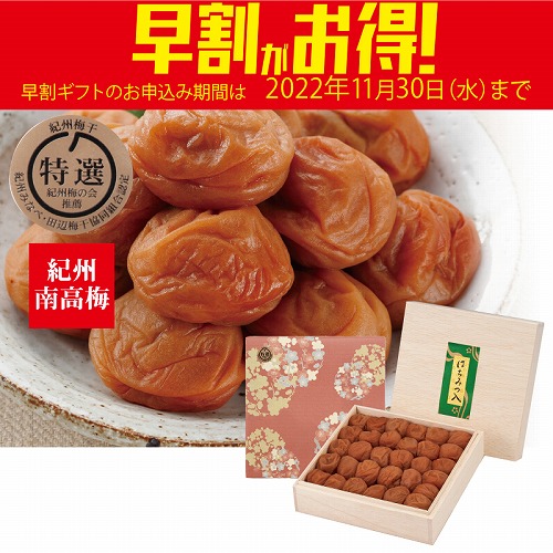 【期間限定・早割】