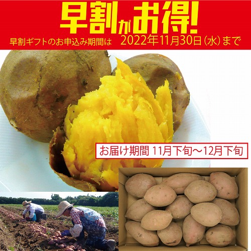 【期間限定・早割】