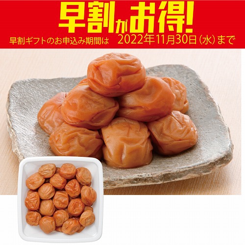 【期間限定・早割】