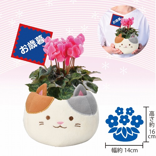 【ご自宅用お買得品】