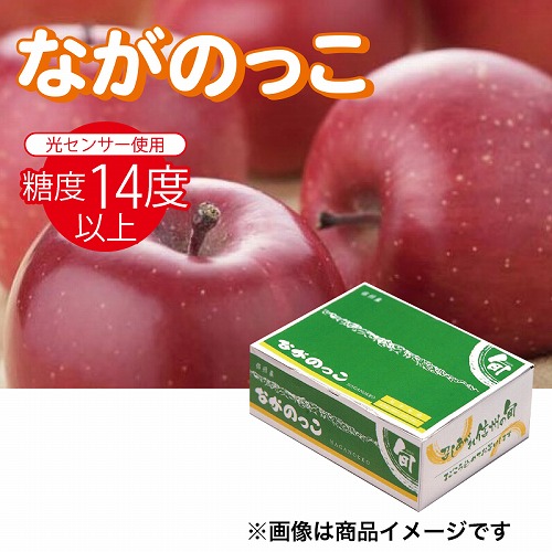 ながのっこサンふじりんご３Ｋｇ
