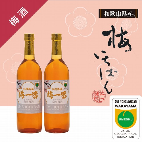 本格梅酒