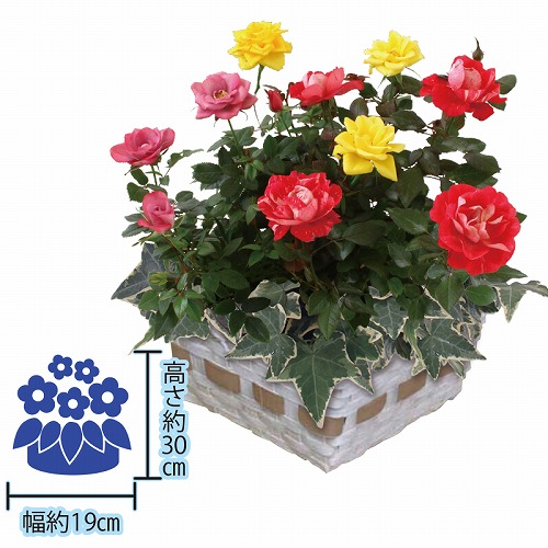 【ホワイトデー】