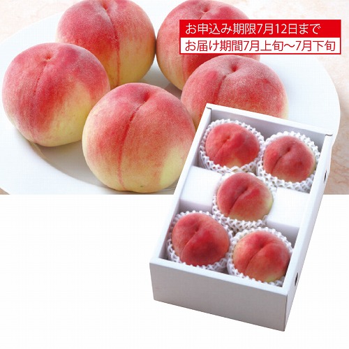 サン・フルーツ