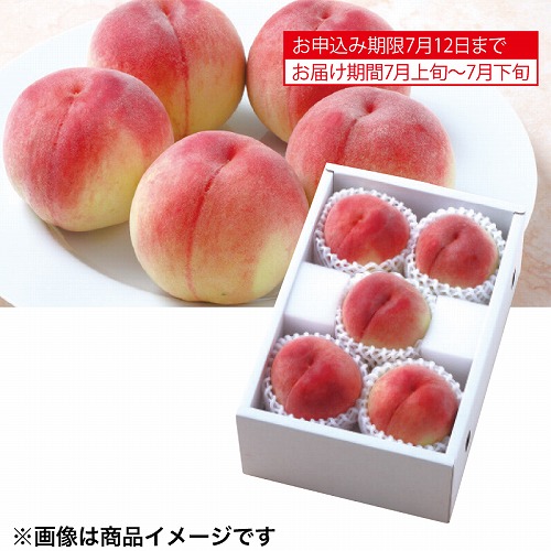 サン・フルーツ