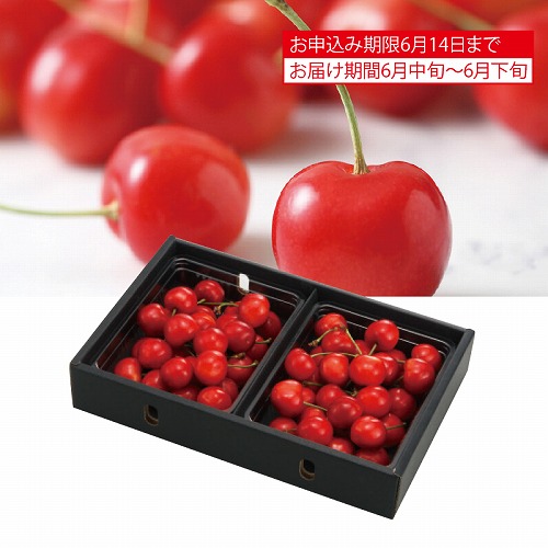 サン・フルーツ