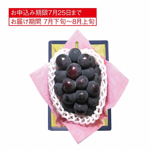 旬のぶどう