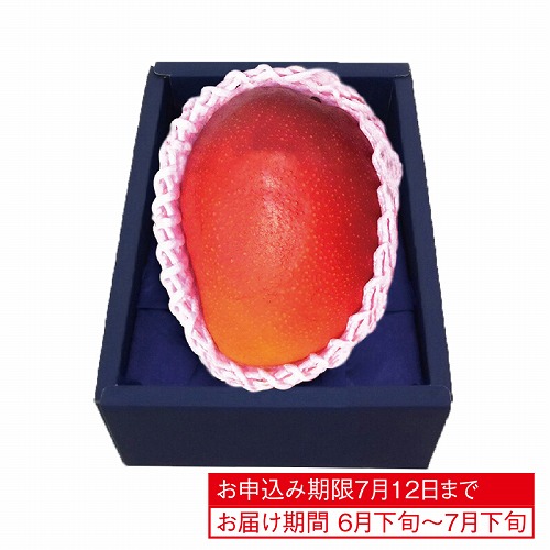 国産マンゴー（大玉）