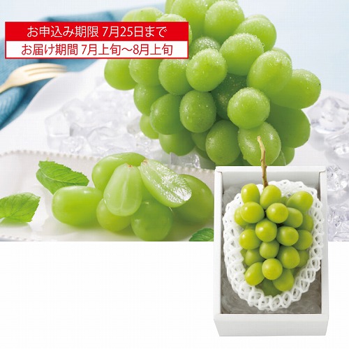 シャインマスカット