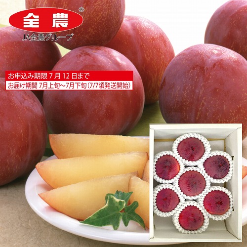 すもも（貴陽）