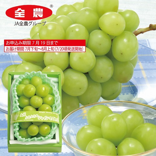 シャインマスカット