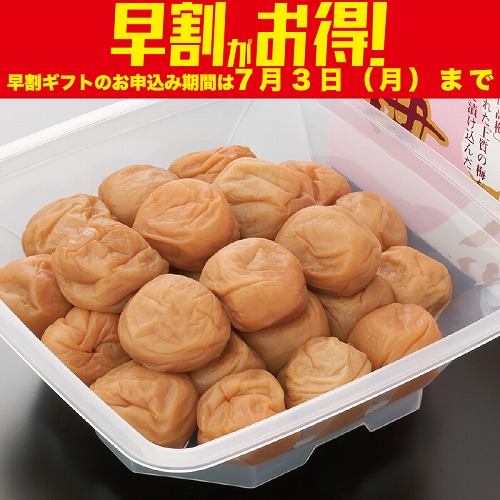 【期間限定・早割】