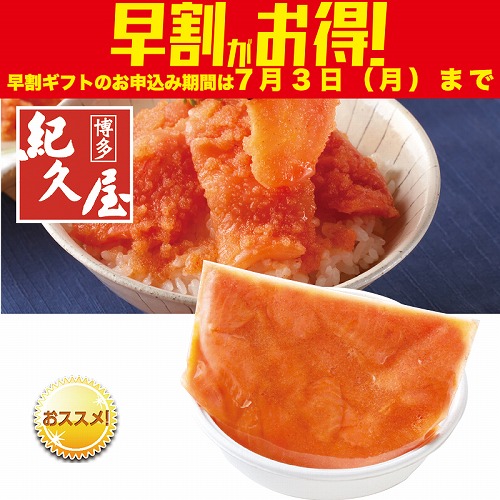 【期間限定・早割】