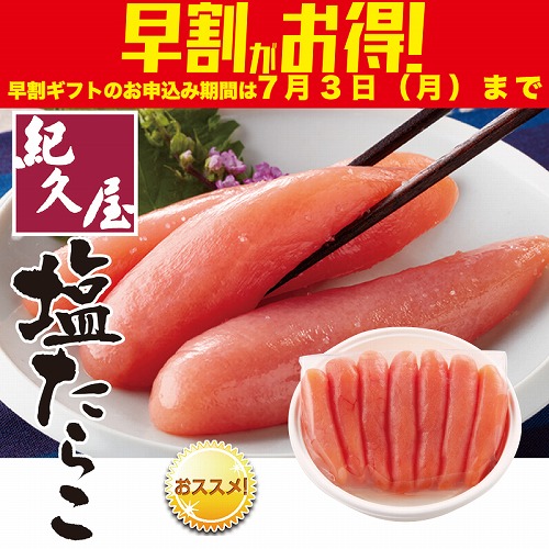 【期間限定・早割】