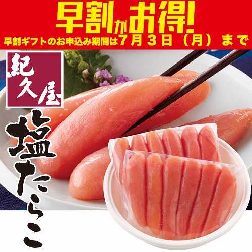 【期間限定・早割】