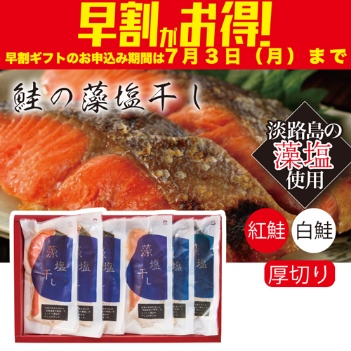 【期間限定・早割】