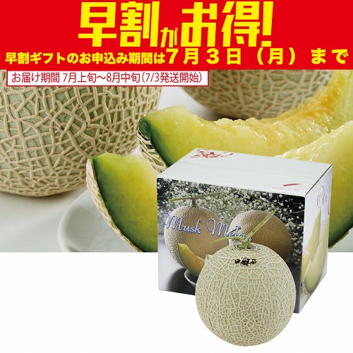 【期間限定・早割】