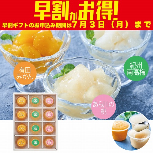 【期間限定・早割】