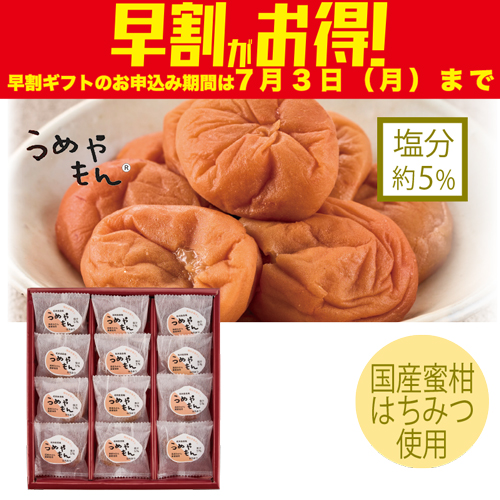 【期間限定・早割】