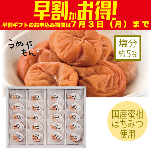 【期間限定・早割】