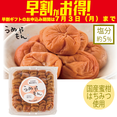 【期間限定・早割】