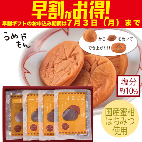 【期間限定・早割】